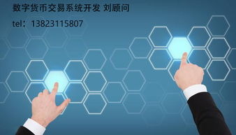 Q幣的分類與數(shù)字技術(shù)服務(wù)